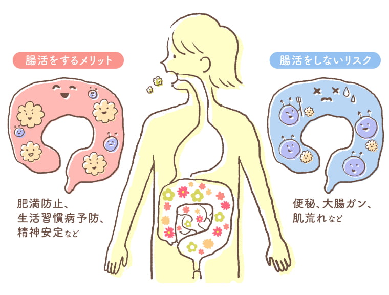 腸活をするメリット 肥満防止、生活習慣病予防、精神安定など。腸活をしないリスク 便秘、大腸ガン、肌荒れなど