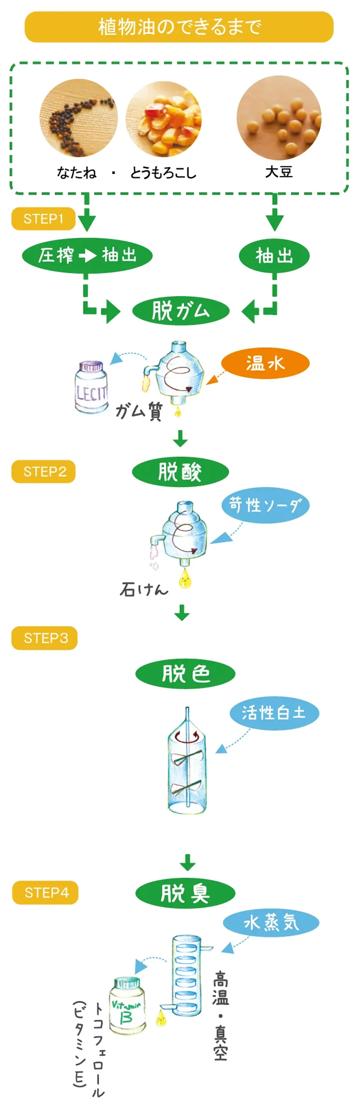 出典:一般社団法人日本植物油協会「pichi pichi!うつくしい 元気、植物油」を参考に作成