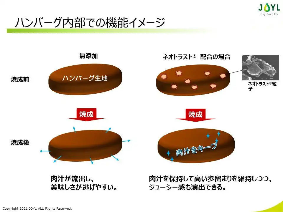 ハンバーグ内部での機能イメージ