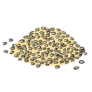 ごま油