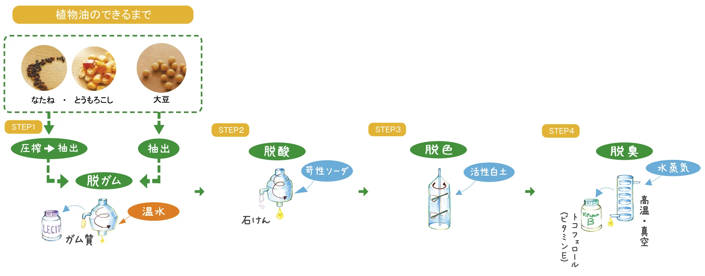 出典:一般社団法人日本植物油協会「pichi pichi!うつくしい 元気、植物油」を参考に作成