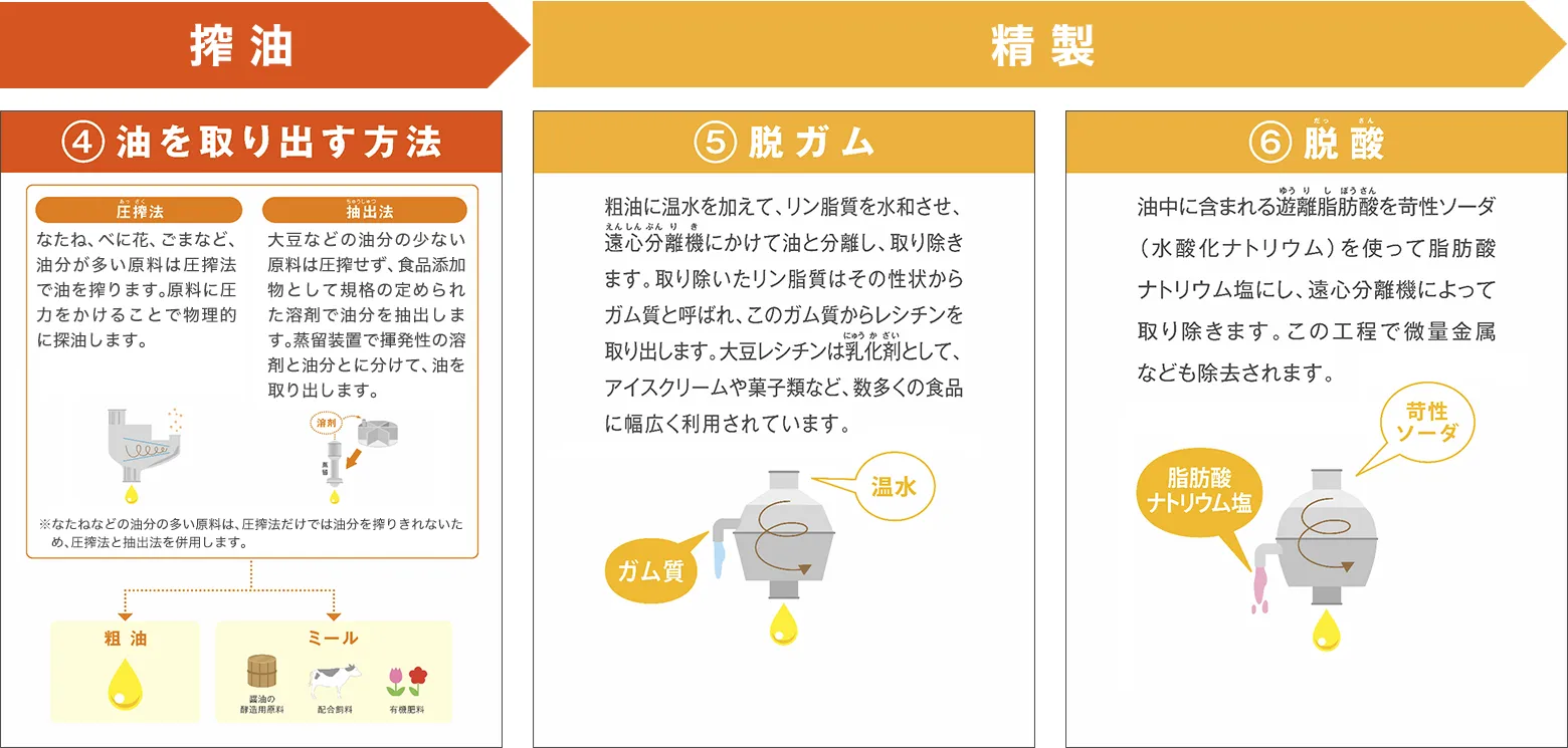 搾油、精製