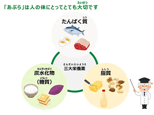 「あぶら」は人の体にとってとても大切です