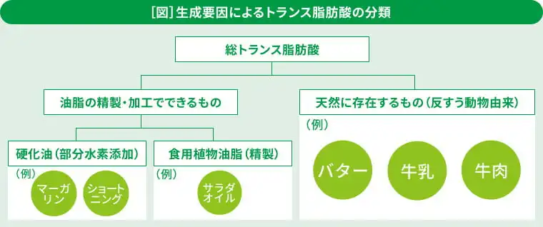 生成要因によるトランス脂肪酸の分類