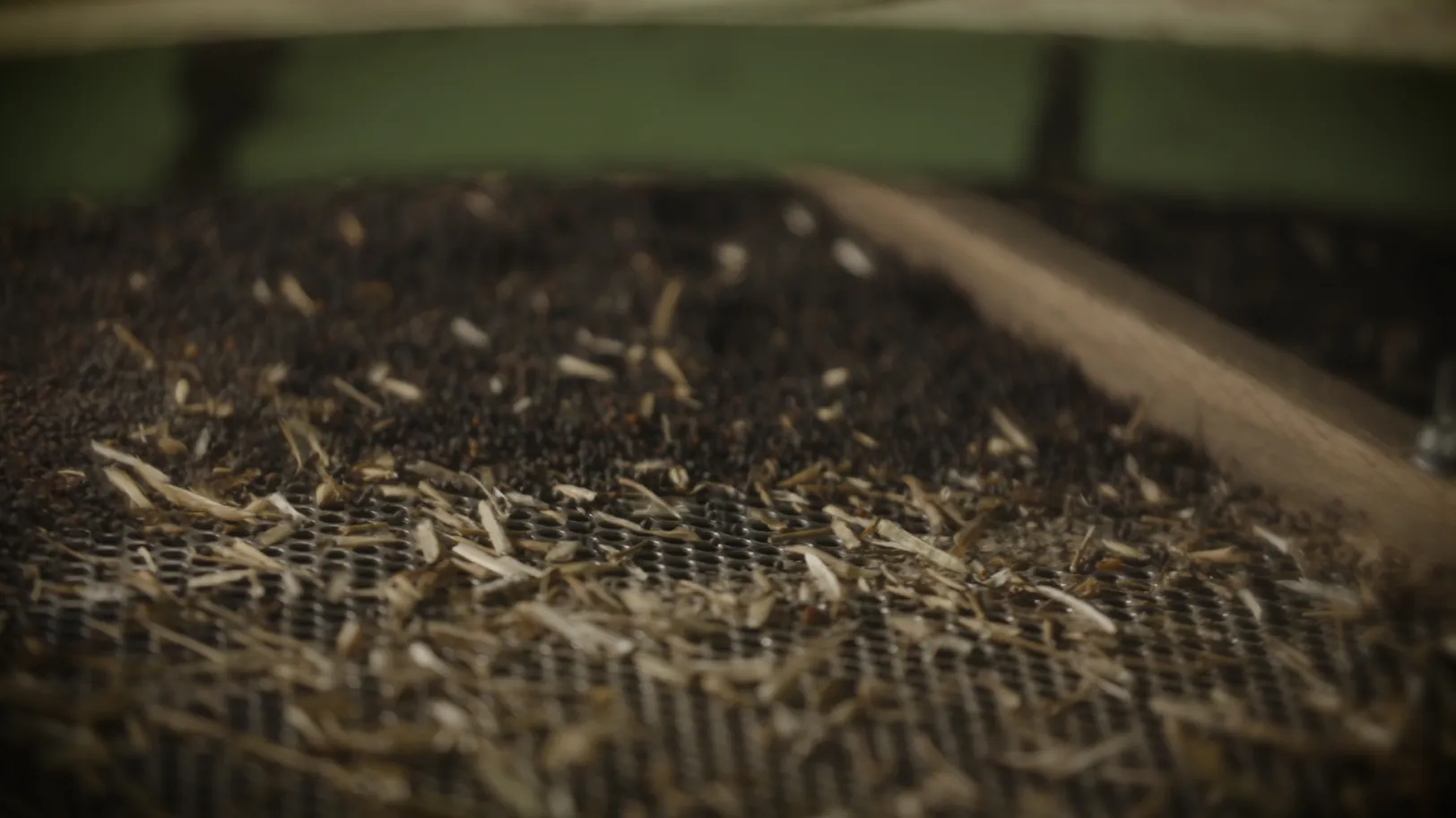 前処理の様子を紹介する動画