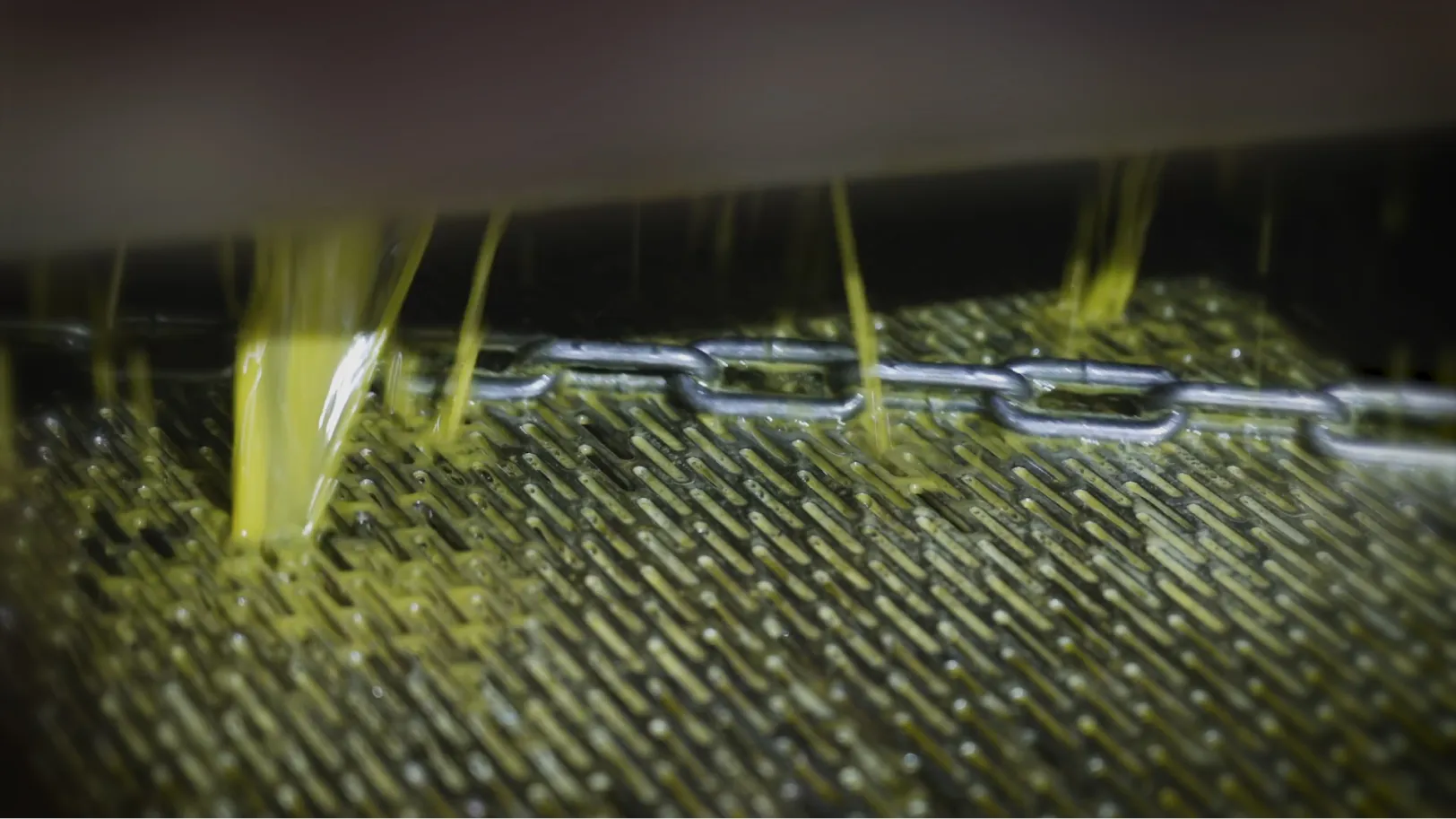 圧搾法による搾油の様子を紹介する動画