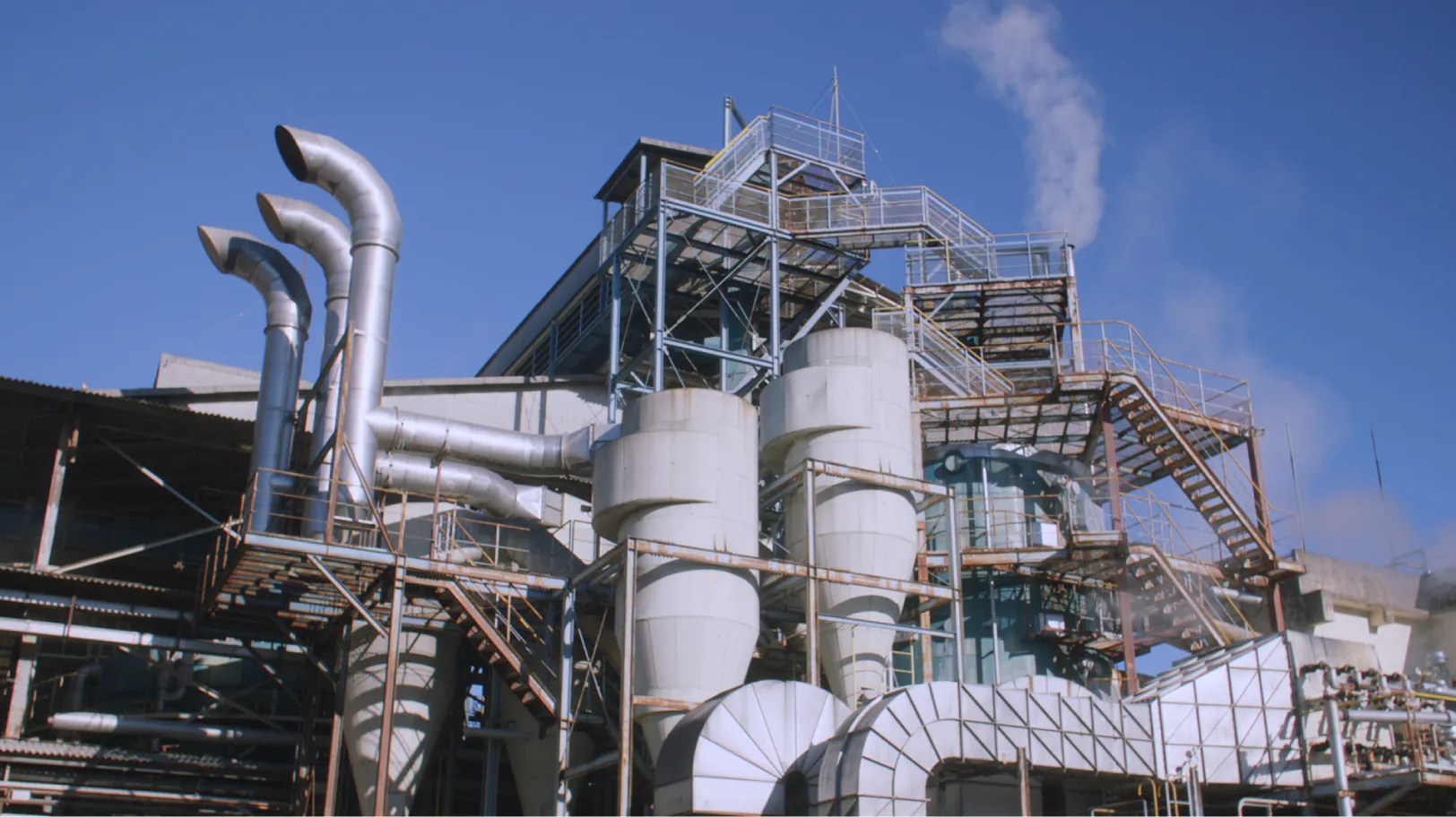 抽出法による搾油の様子を紹介する動画