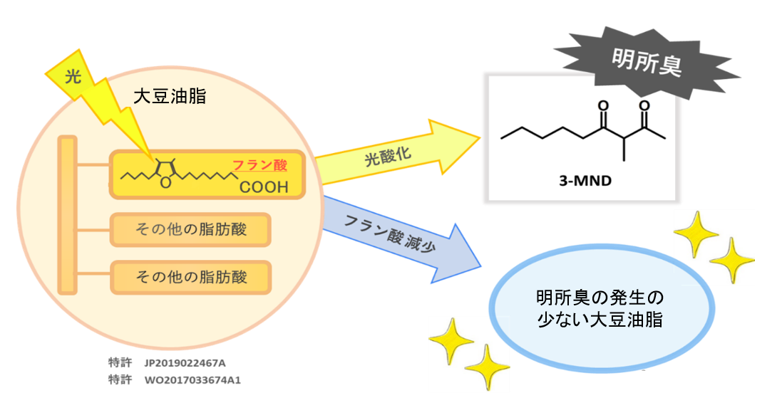 図1.png
