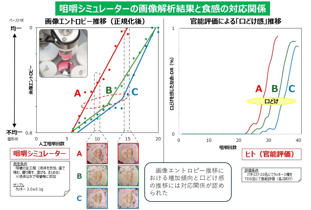 咀嚼シミュレーターの画像解析結果と食感の対応関係