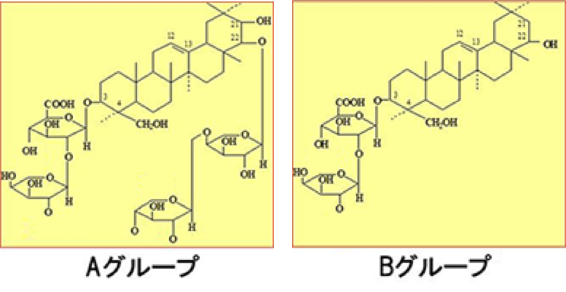 大豆サポニンの種類と構造図