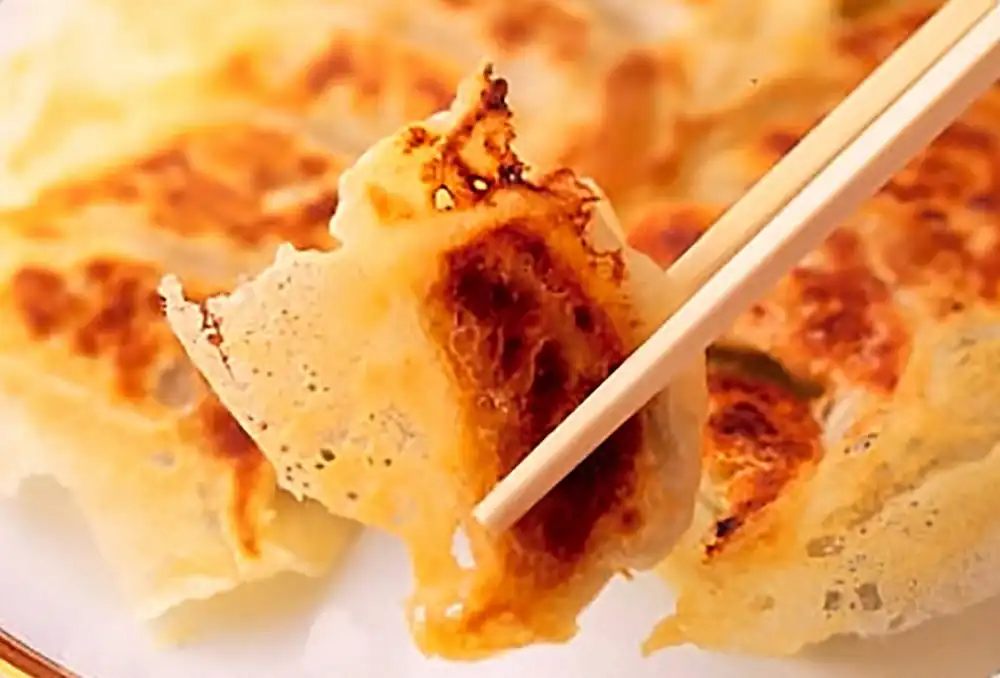 羽根つきギョーザ（ケチャップダレ）
