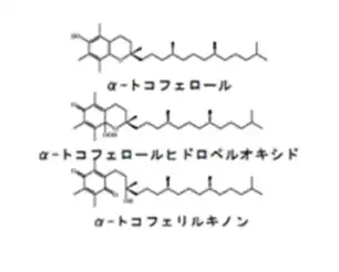 Analysis of oxidation products of a-tocopherol in extra virgin olive oil using liquid chromatography-tandem mass spectrometry.