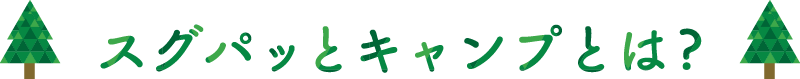 スグパッとは?
